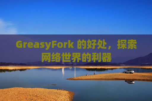 GreasyFork 的好处，探索网络世界的利器